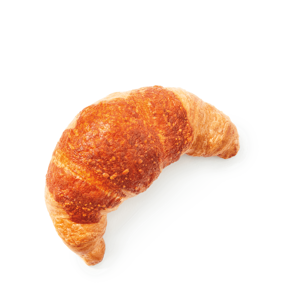 Cheese Croissant