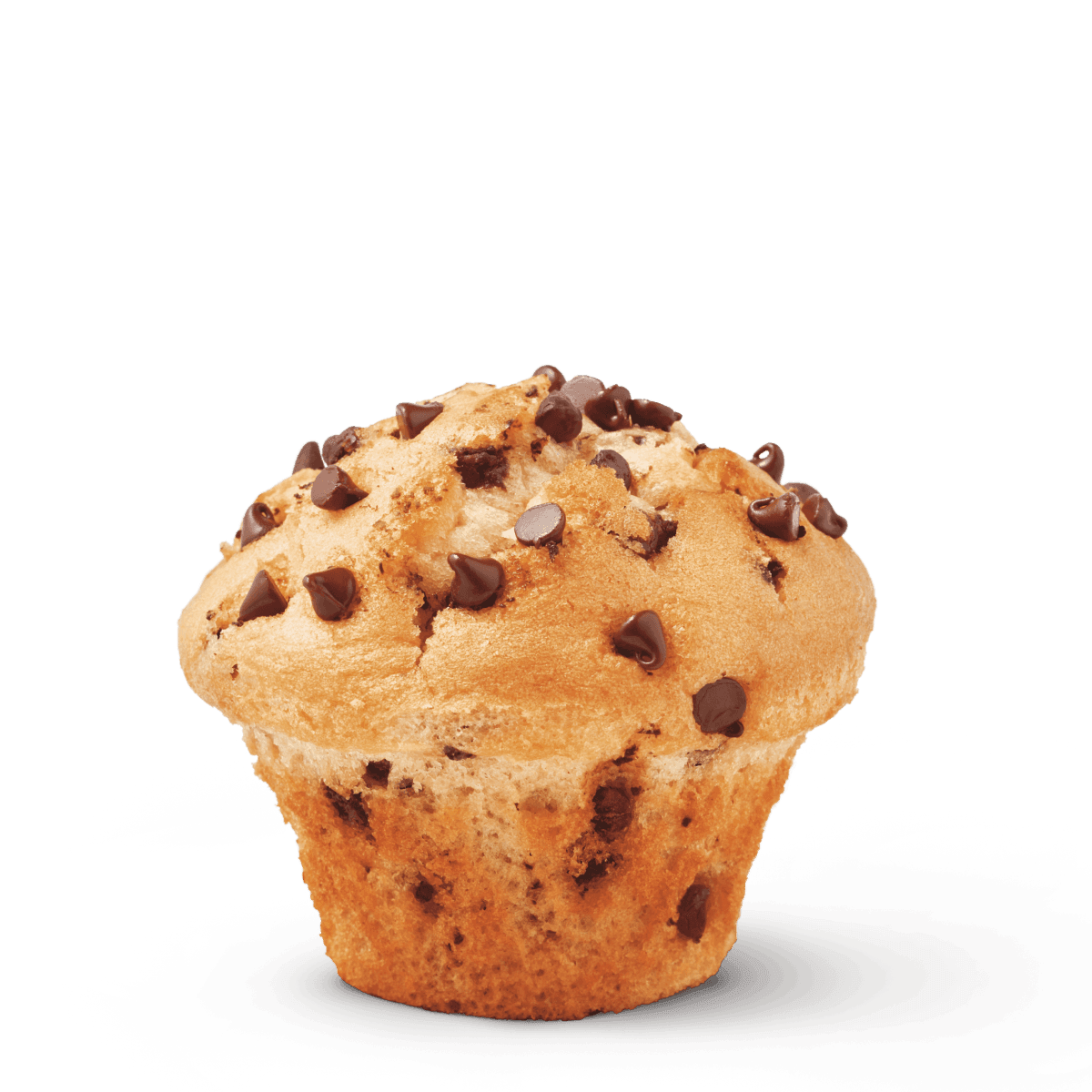 Chocolate Chip Muffin