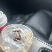 Tim Hortons storefront and interior at 5292 - Ellerslie Rd Sw, Edmonton, AB