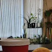 Tim Hortons storefront and interior at 16012 100a Ave, Edmonton, AB
